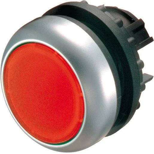 tela-120260709143318411999