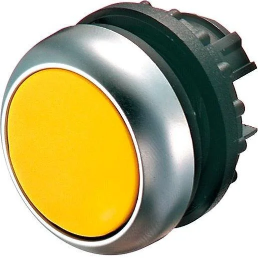 tela-120260709164153435130