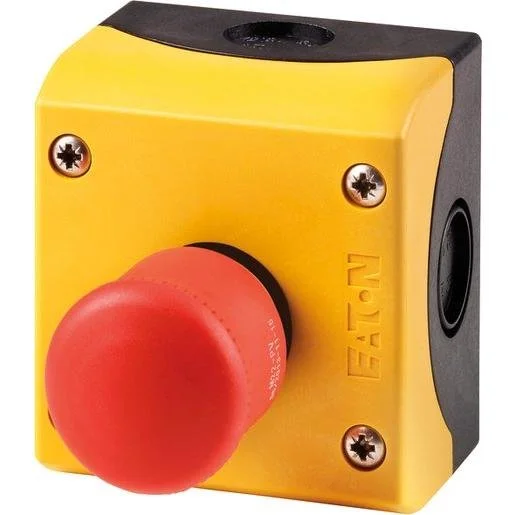 tela-120260709164711436257