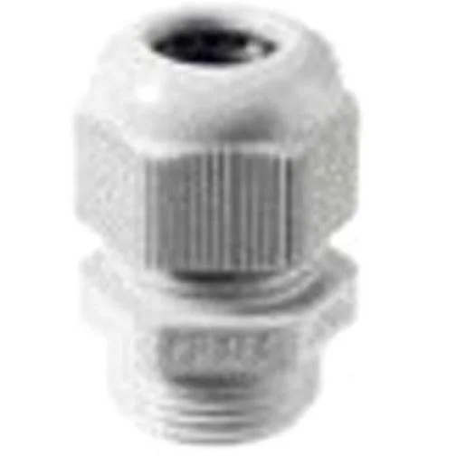 tela-120260709165320437495