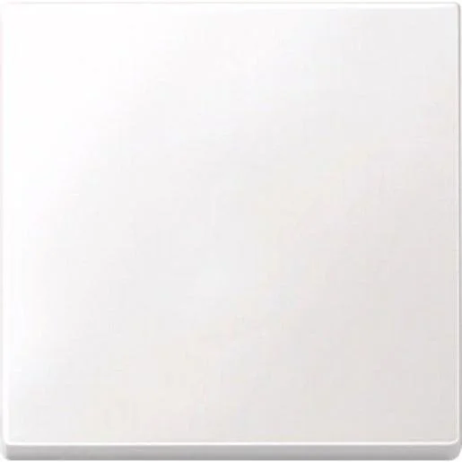 tela-120260709181706452642