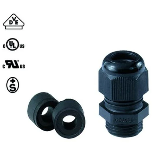 tela-120260709191304464153