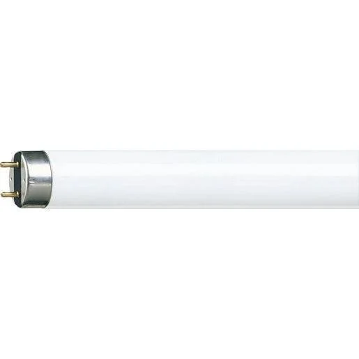 tela-120260709202729479734
