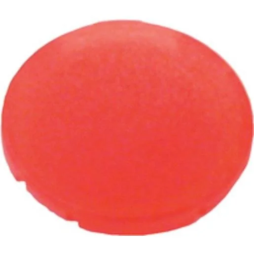 tela-120260709215225497094