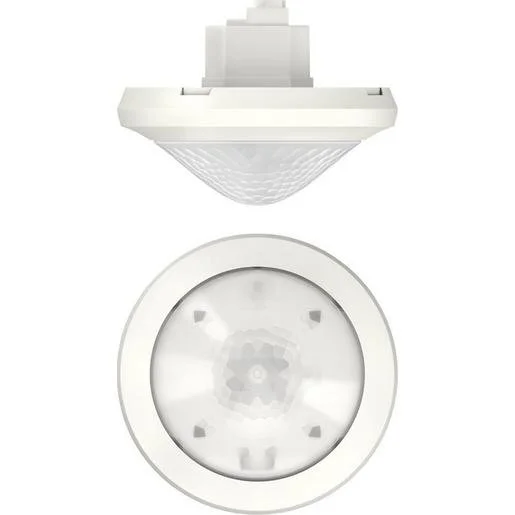 tela-120260709224728507014