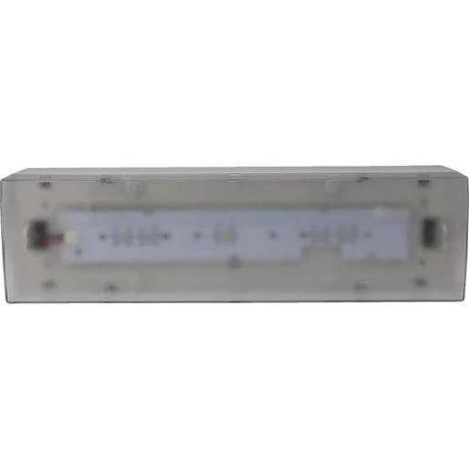 tela-120260709234331517966