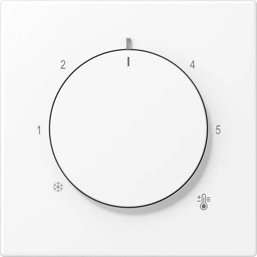 tela-120260710011202535370