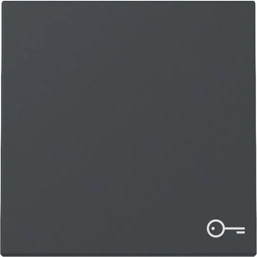 tela-120260710014539541613