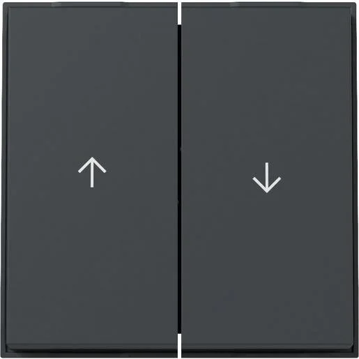 tela-120260710014555541665