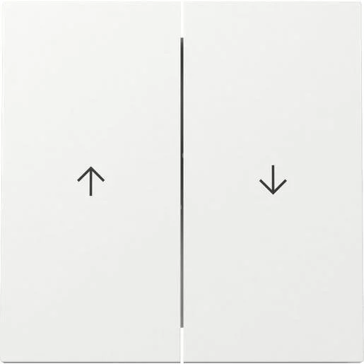 tela-120260710014557541668