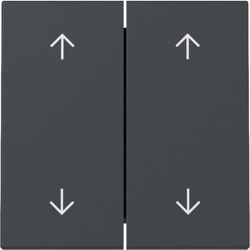 tela-120260710014607541701