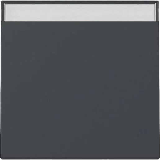 tela-120260710014617541741