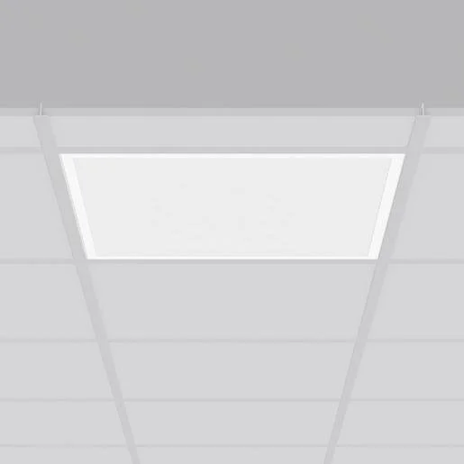 tela-120260710015142542811