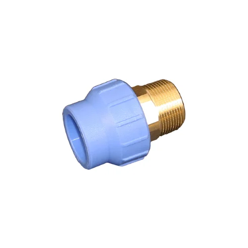 tela-120260710040018565964