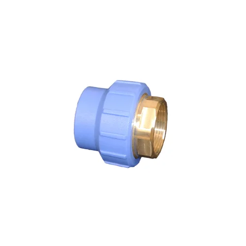 tela-220260709151620420349