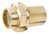 tela-220260709183611456553
