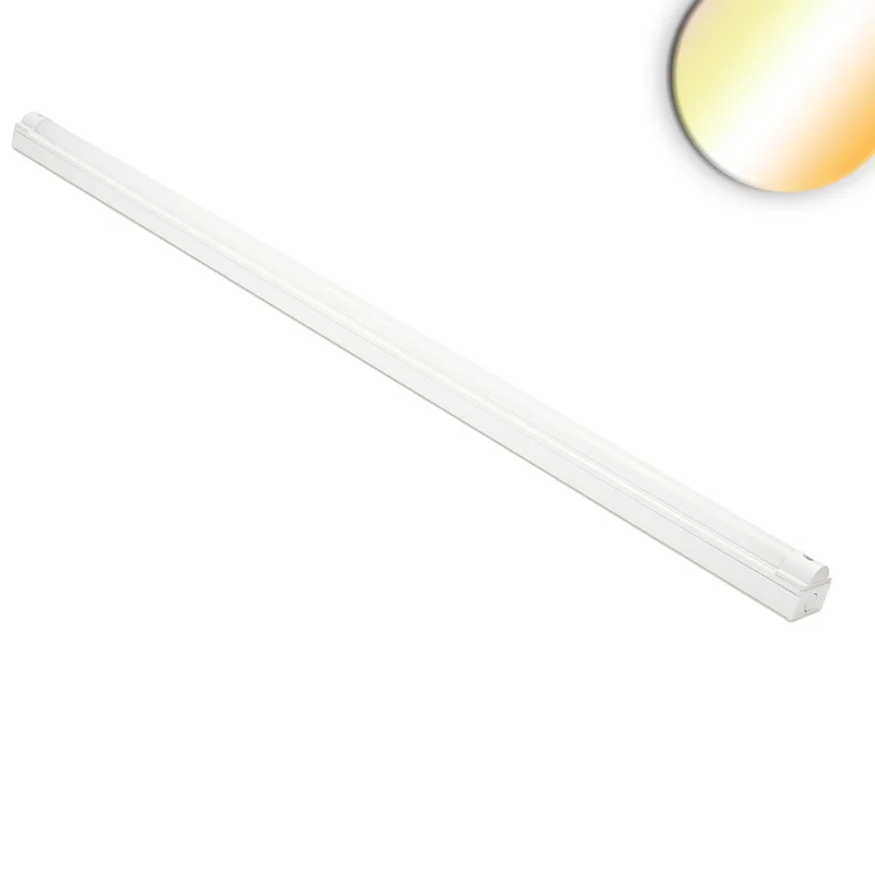 tela-220260709235517520455