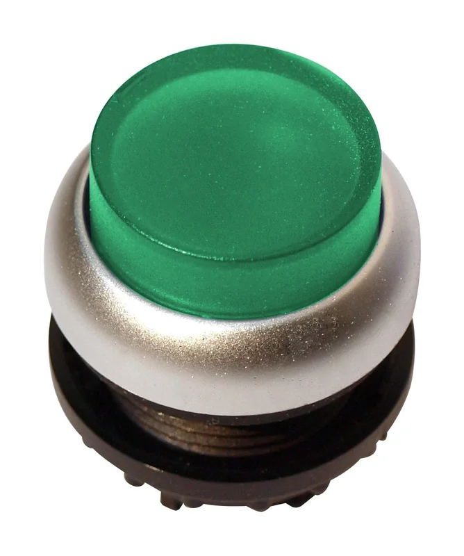 tela-220260710015402543311