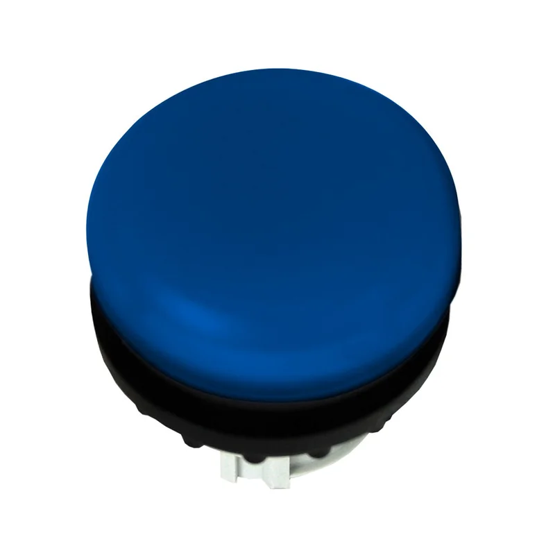 tela-220260710015553543697