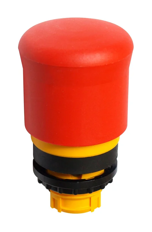 tela-220260710015619543785