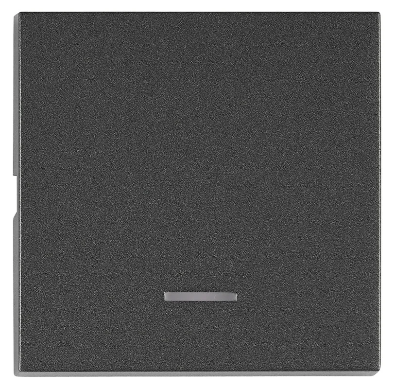 tela-220260710024738553429