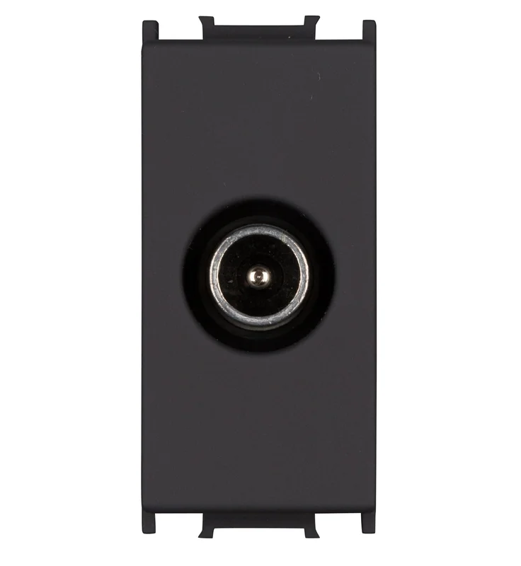 tela-220260710025951555686